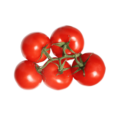 organicc-tomatoes.png